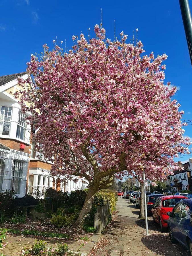 Kew Gardens - Private Double Room Richmond London - Homestay Bagian luar foto